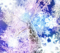 Snowy tree