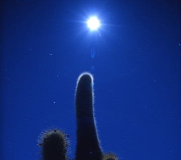 {rAEEj_ΌƃT{e-3#57A5